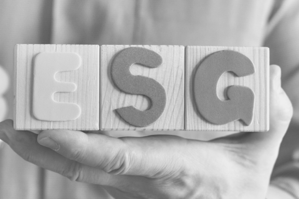 ESG – O que é e qual a sua importância para o crescimento de sua empresa