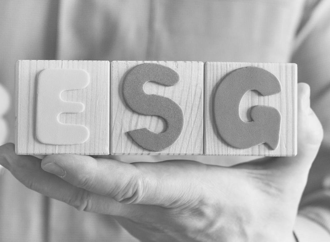 ESG – O que é e qual a sua importância para o crescimento de sua empresa